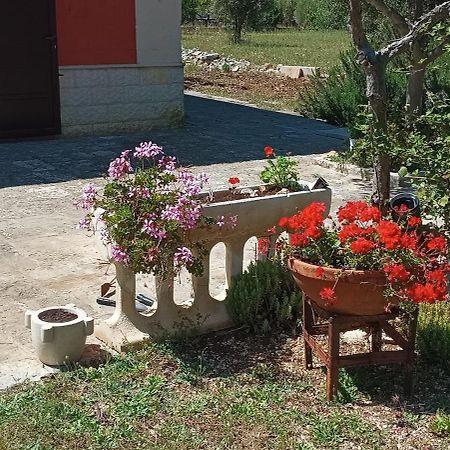 Casa Alle Vigne Polignano a Mare Ngoại thất bức ảnh