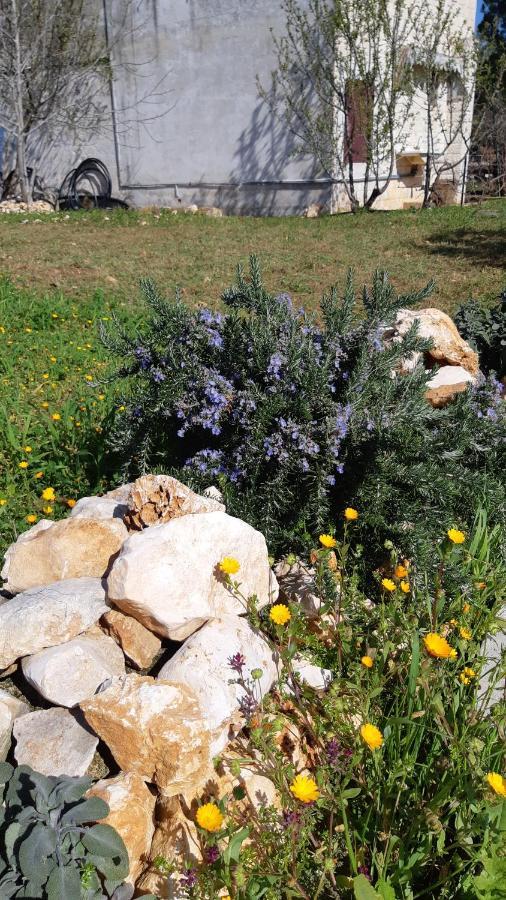 Casa Alle Vigne Polignano a Mare Ngoại thất bức ảnh