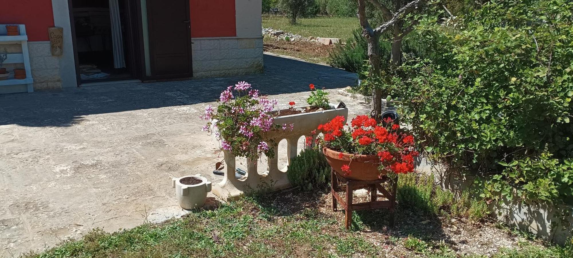 Casa Alle Vigne Polignano a Mare Ngoại thất bức ảnh